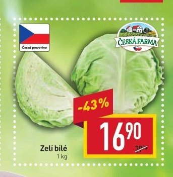 Zelí bílé