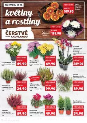 akční leták Kaufland 18.10.2023-24.10.2023