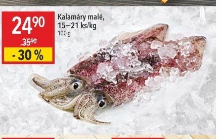 Kalamáry malé
