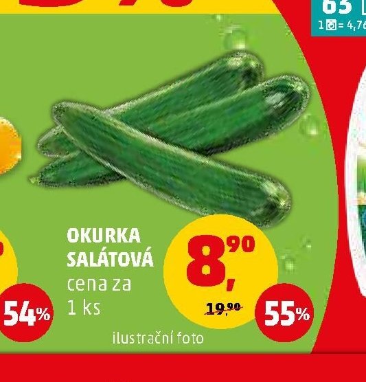 OKURKA SALÁTOVÁ