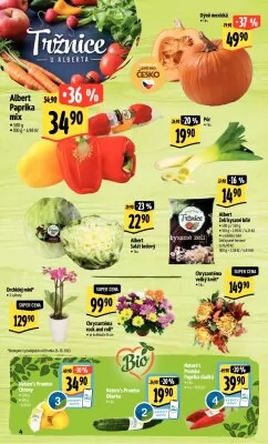 akční leták Albert 25.10.2023-31.10.2023