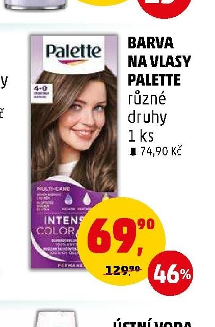 BARVA NA VLASY PALETTE různé druhy