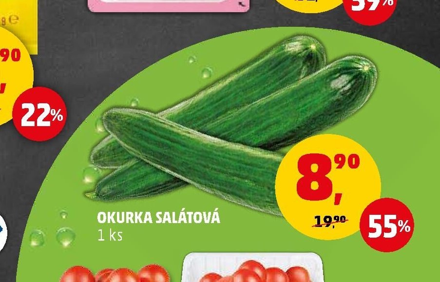 OKURKA SALÁTOVÁ