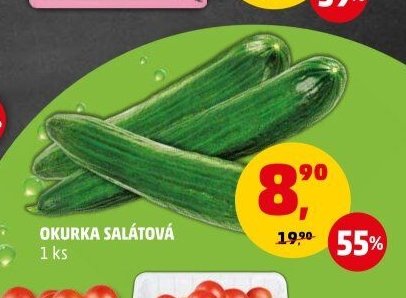 OKURKA SALÁTOVÁ 1 ks