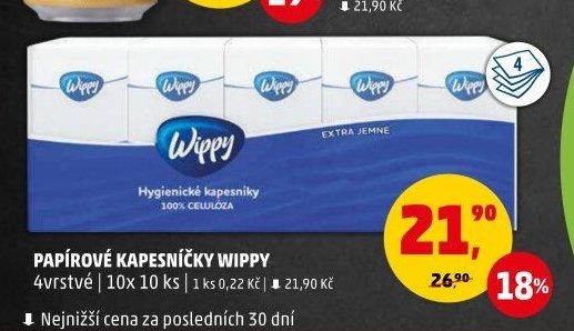 PAPÍROVÉ KAPESNÍČKY WIPPY 10x 10 ks