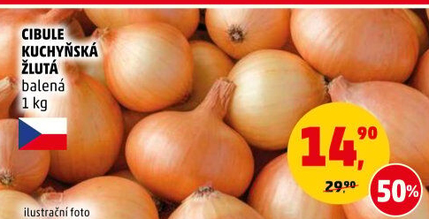 Cibule kuchyňská žlutá