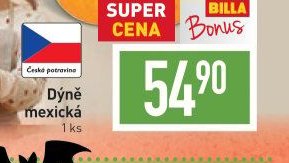 Dýně mexická