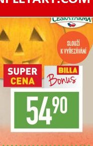 Dýně mexická