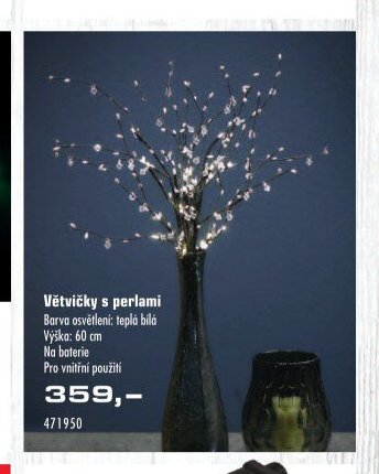 Větvičky s perlami