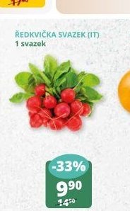 ŘEDKVIČKA SVAZEK (IT) 1 svazek