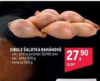 CIBULE ŠALOTKA BANÁNOVÁ