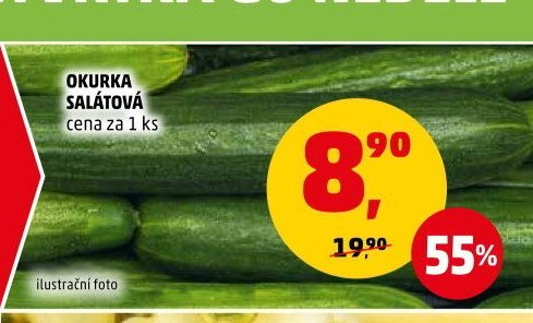 OKURKA SALÁTOVÁ