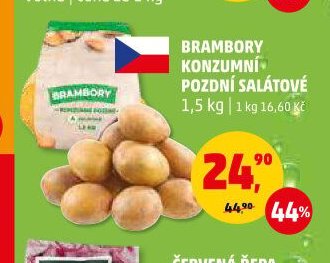 BRAMBORY KONZUMNÍ POZDNÍ SALÁTOVÉ