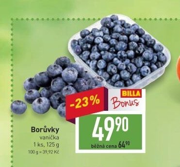 Borůvky