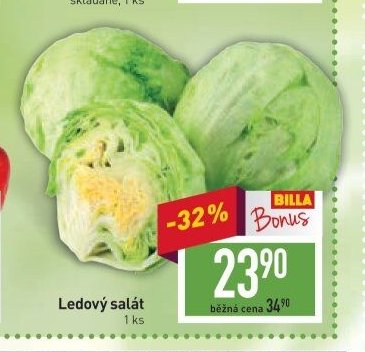Ledový salát