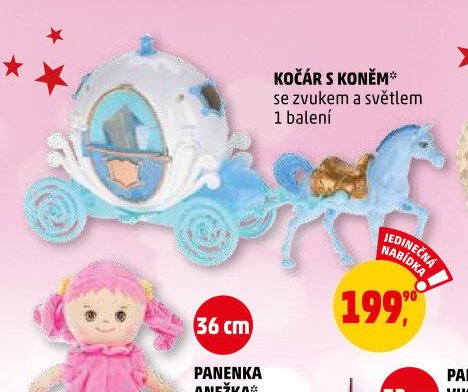 Kočár s koněm