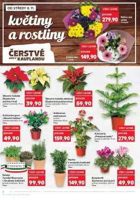 akční leták Kaufland 8.11.2023-14.11.2023