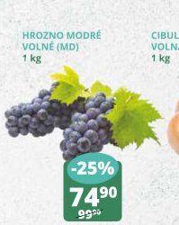 Hrozno modré volné