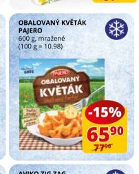 OBALOVANÝ KVĚTÁK PAJERO