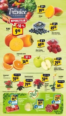 akční leták Albert 8.11.2023-14.11.2023