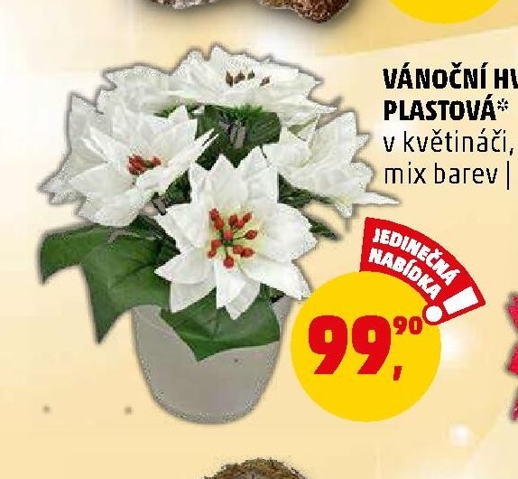 VÁNOČNÍ HVĚZDA PLASTOVÁ