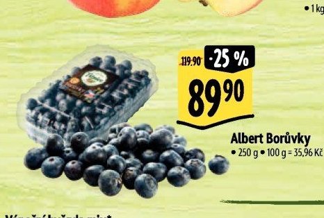 Albert Borůvky