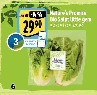Nature's Promise Bio Salát little gem