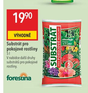 Substrát pro pokojové rostliny