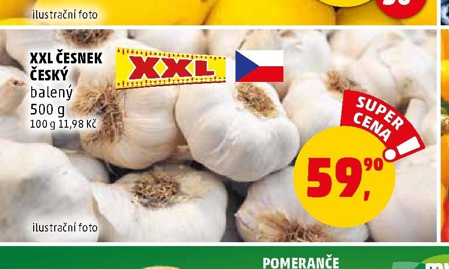XXL Česnek český
