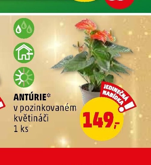 Antúrie