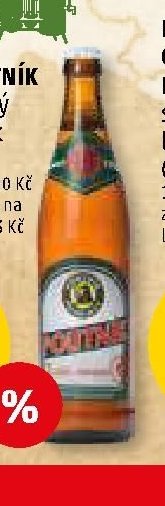 POUTNÍK světlý ležák