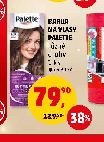 BARVA NA VLASY PALETTE různé druhy 1 ks