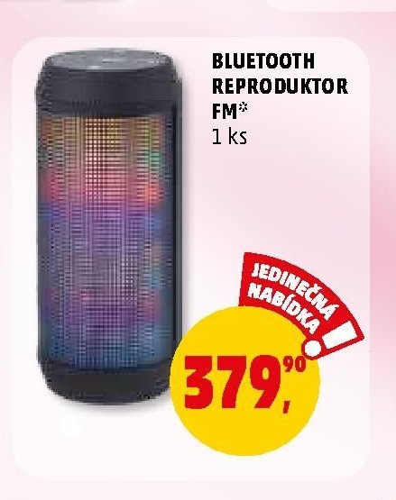 BLUETOOTH REPRODUKTOR FM