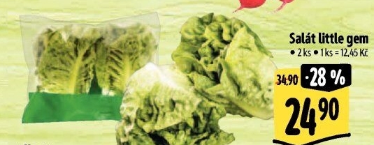 Salát little gem