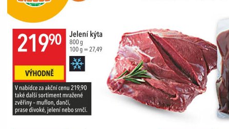 Jelení kýta