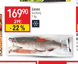 Losos kuchaný