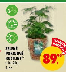 Mix zelených rostlin