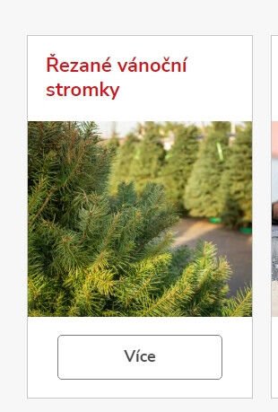 Řezané vánoční stromky - UNI HOBBY akcniletaky.com