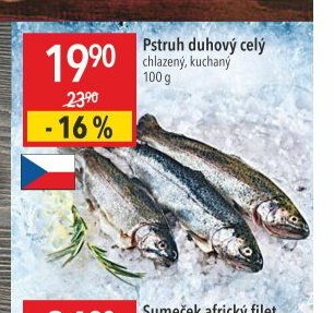 Pstruh duhový celý