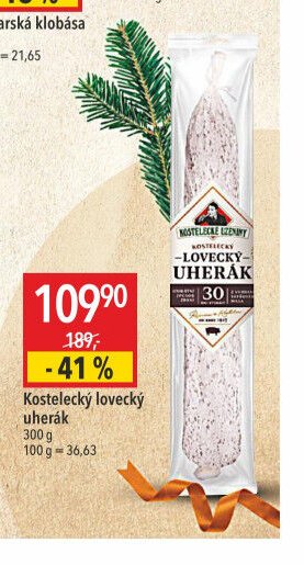Kostelecký lovecký uherák