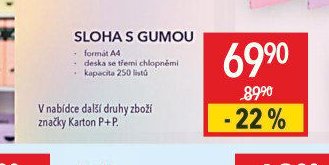 Sloha s gumou