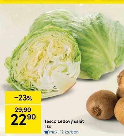 Salát ledový Tesco