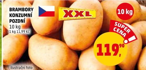 Brambory konzumní pozdní