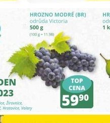 Hrozno modré (BR) 500 g