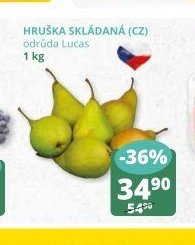 Hruška skládaná (CZ) 1 kg