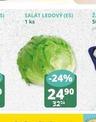 Salát ledový (ES) 1 ks