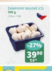 Žampiony balené (CZ) 500 g