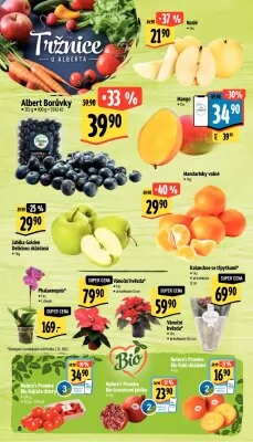 akční leták Albert 6.12.2023-12.12.2023