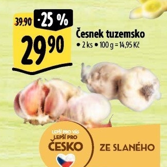 Česnek