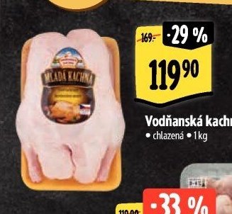 Vodňanská kachna